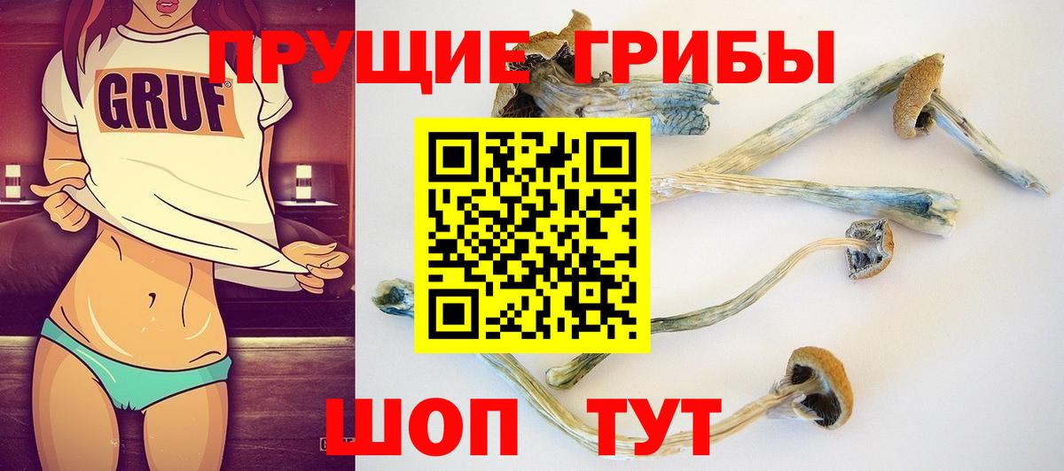 Псилоцибиновые грибы мухоморы  Вход с VPN  купить закладку  Братск 